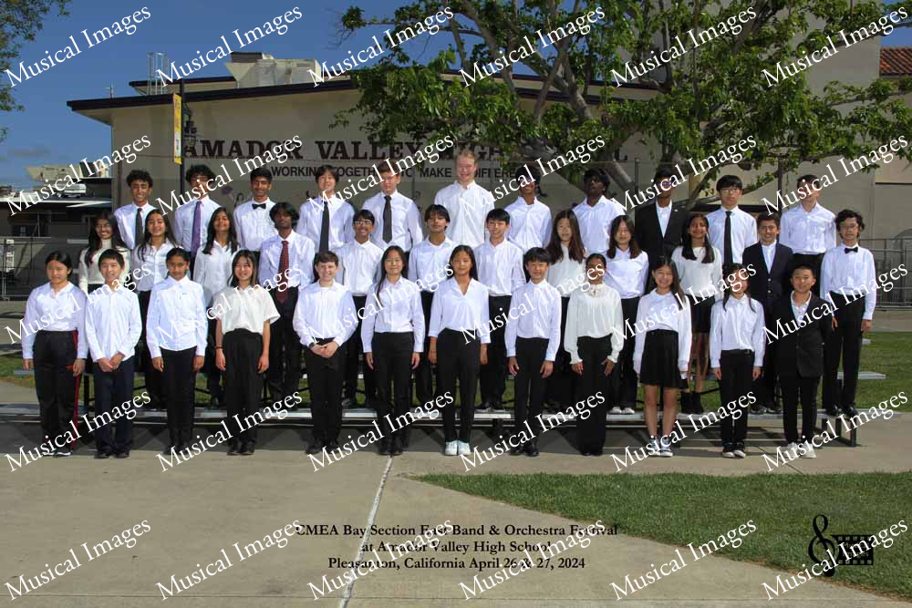 Musical Images